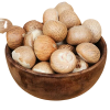 Betel Nuts