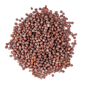 Brown Mustard Seeds