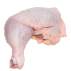 Frozen Chicken Leg