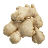 Ginger