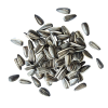 Sunflower Seeds