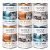 Wolf of Wilderness Classic Adult Mixed Packs
