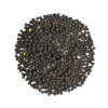 Vetch Seeds